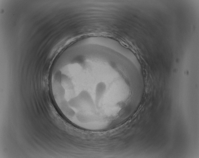 X0000081370002200702020217