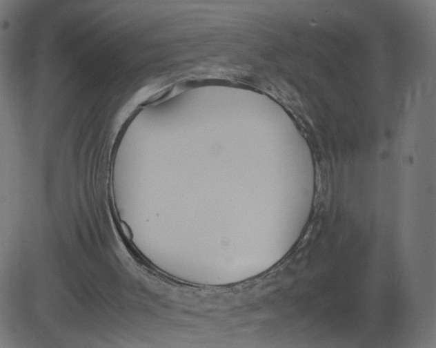 X0000081370003200702020217