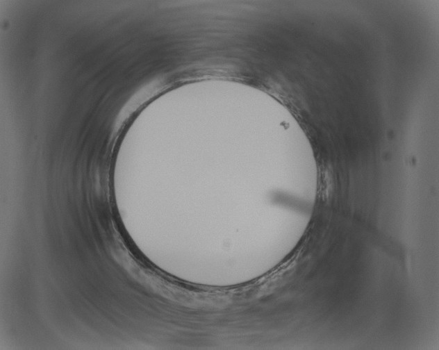 X0000081370004200702020217