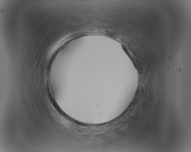 X0000081370005200702020217