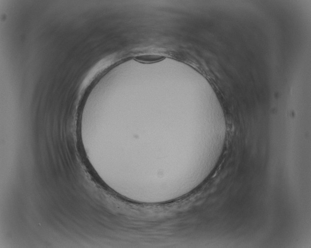 X0000081370006200702020217