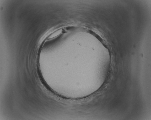 X0000081370007200702020217