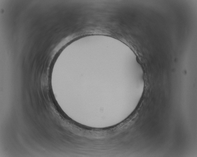 X0000081370008200702020217