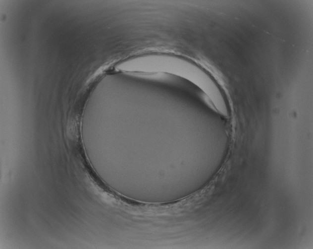 X0000081370009200702020217