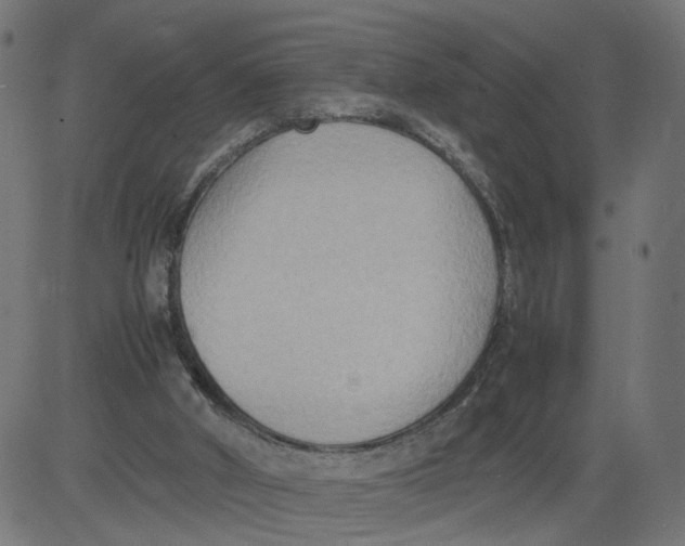 X0000081370010200702020217