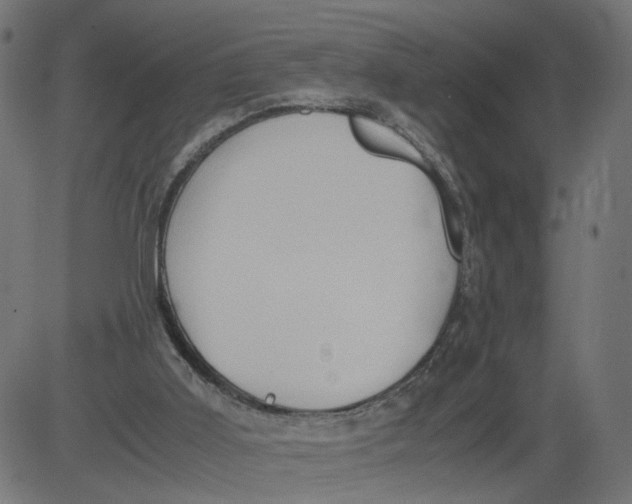 X0000081370011200702020217