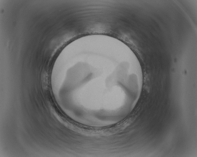 X0000081370012200702020217