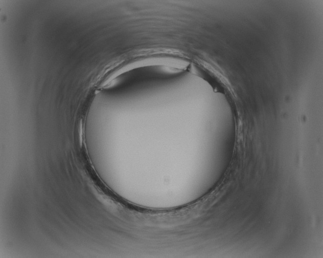 X0000081370013200702020217