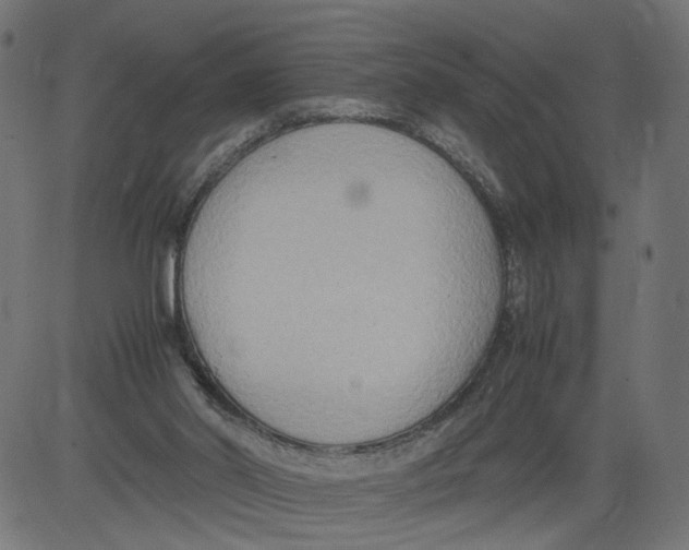 X0000081370014200702020216