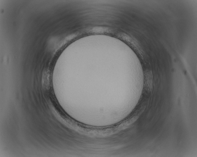 X0000081370016200702020216