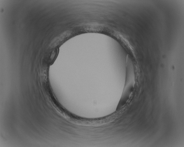 X0000081370017200702020216