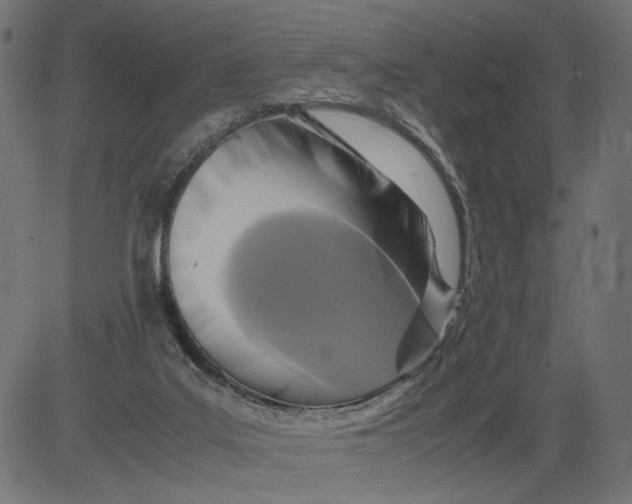 X0000081370019200702020216