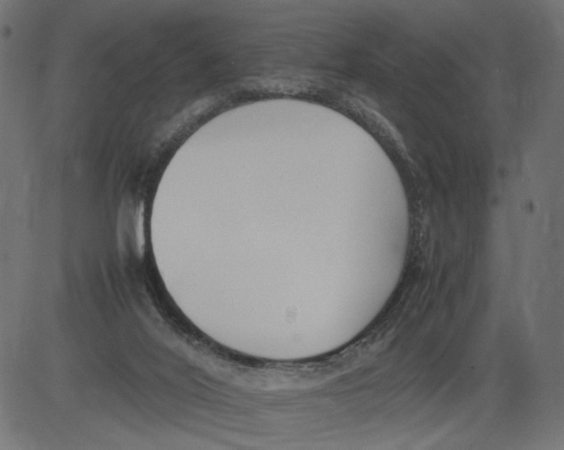 X0000081370020200702020216