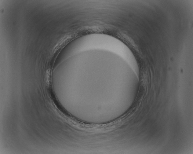 X0000081370023200702020216