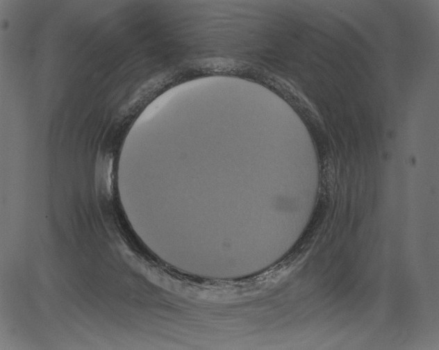 X0000081370024200702020216