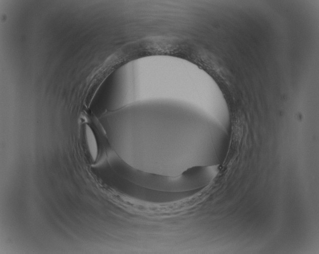 X0000081370027200702020216