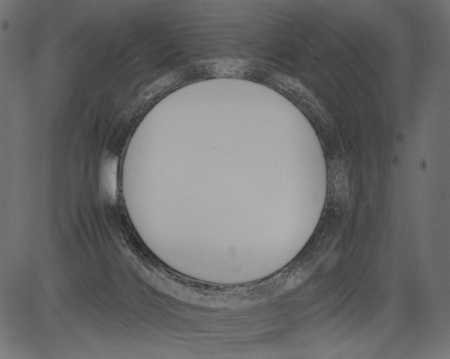 X0000081370028200702020216