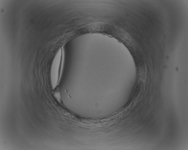 X0000081370029200702020216