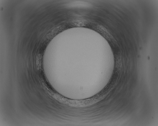 X0000081370030200702020216