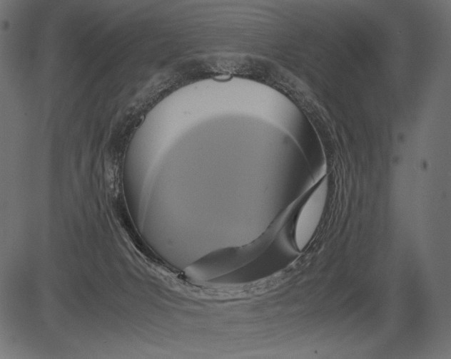 X0000081370031200702020216