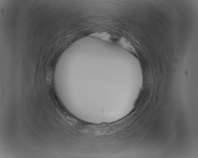 X0000081370033200702020216