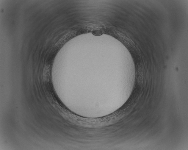 X0000081370034200702020216