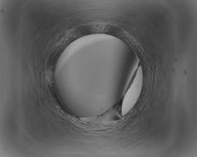 X0000081370035200702020216