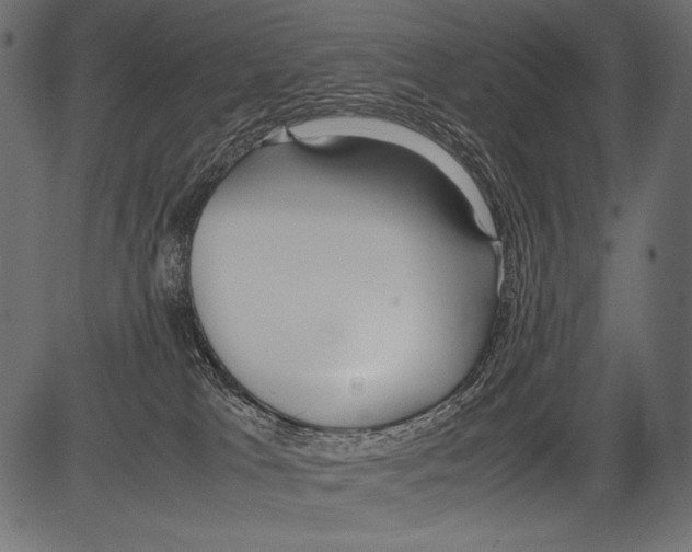 X0000081370037200702020216