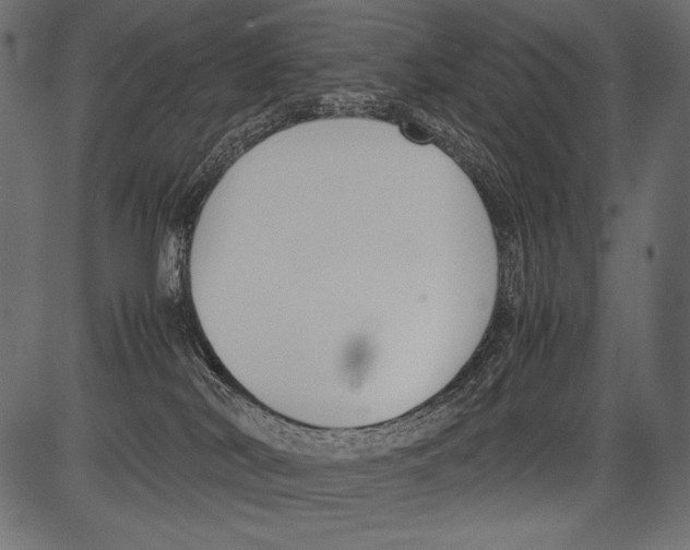 X0000081370038200702020216