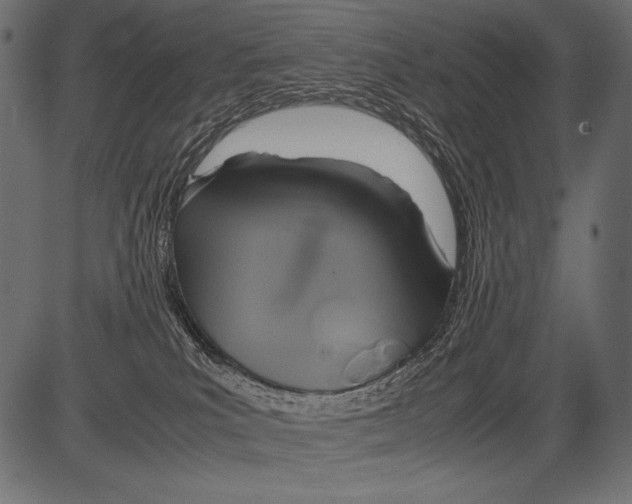 X0000081370039200702020216