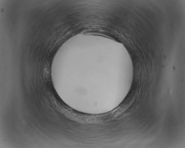 X0000081370040200702020216