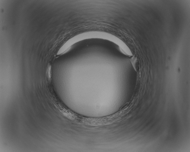 X0000081370041200702020216