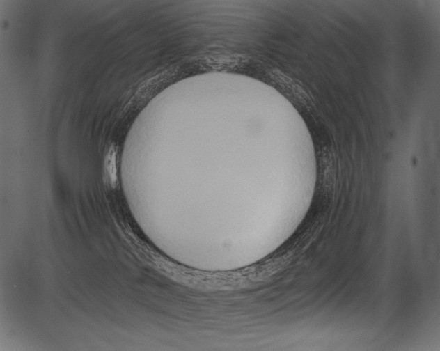 X0000081370042200702020216