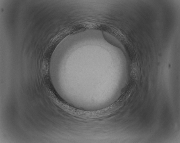 X0000081370043200702020216