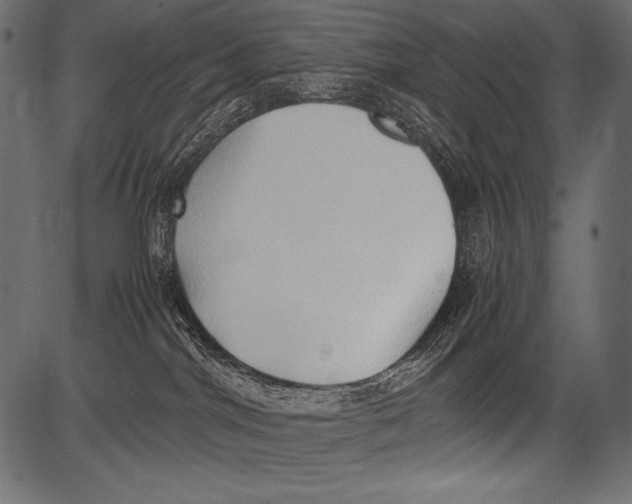 X0000081370044200702020216