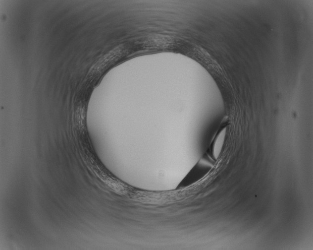 X0000081370045200702020216