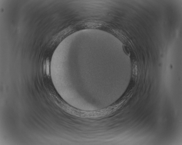 X0000081370046200702020216