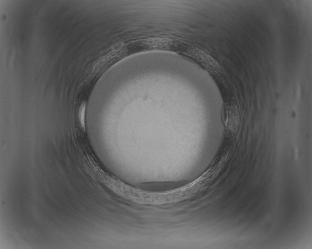 X0000081370047200702020216