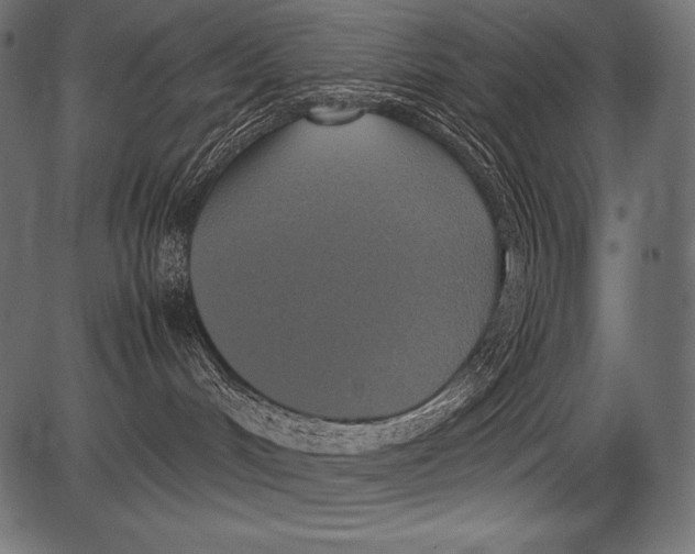 X0000081370048200702020216