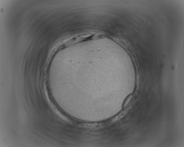 X0000081370049200702020215