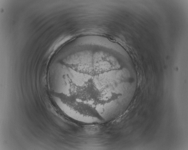 X0000081370050200702020215