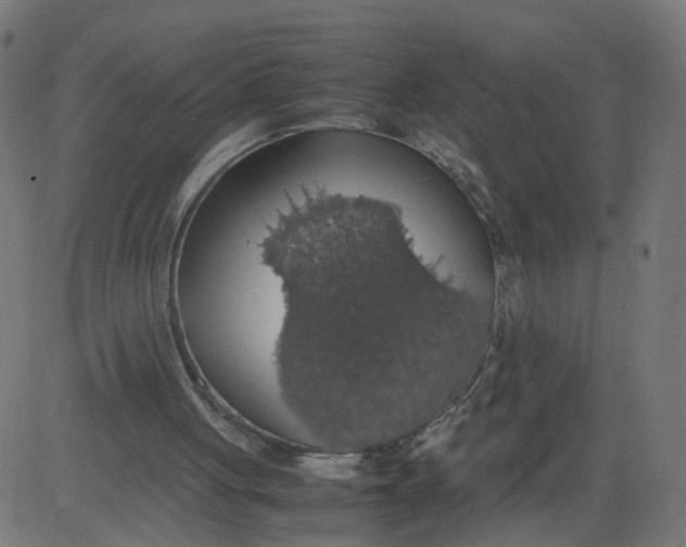 X0000081370051200702020215