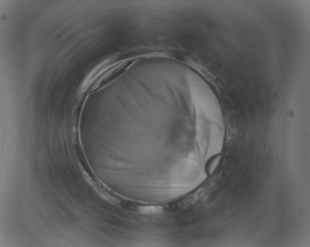 X0000081370053200702020215