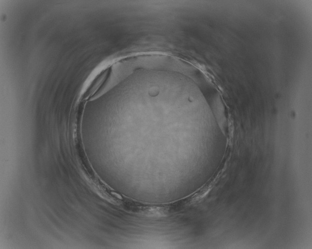 X0000081370056200702020215