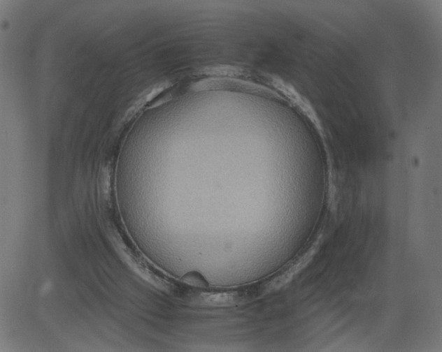 X0000081370057200702020215