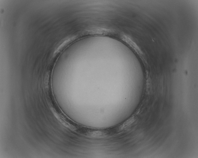 X0000081370058200702020215