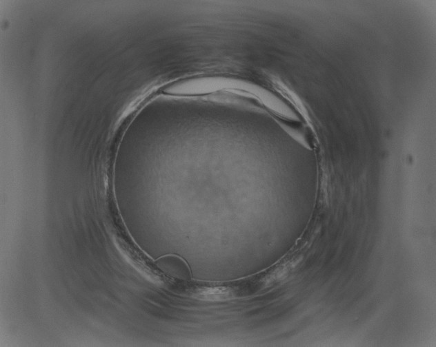 X0000081370059200702020215