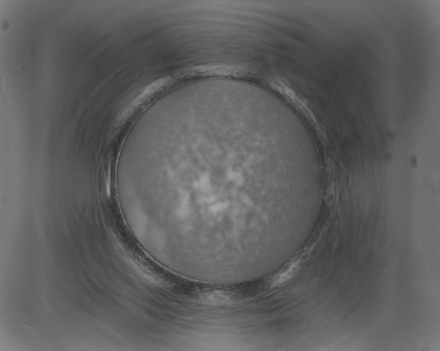 X0000081370062200702020215