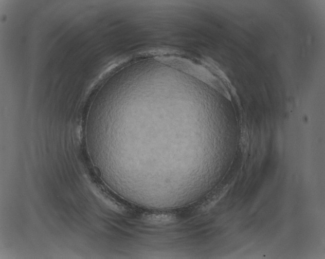 X0000081370063200702020215