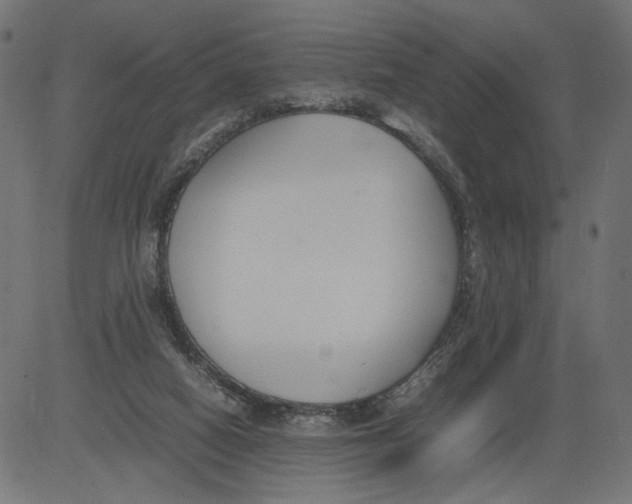 X0000081370066200702020215